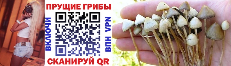 нарко площадка как зайти  Дивногорск  Галлюциногенные грибы GOLDEN TEACHER 